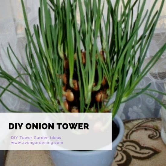 DIY Onion Tower