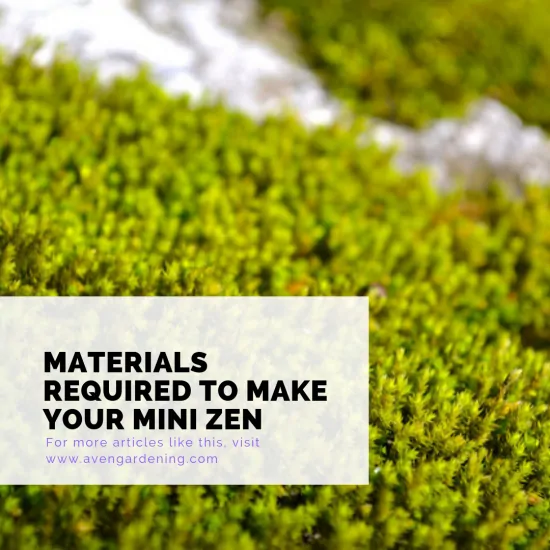 Materials required to make your mini Zen 