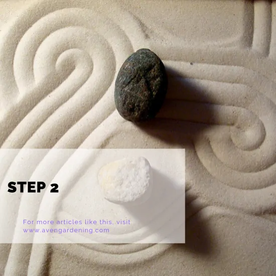step2
