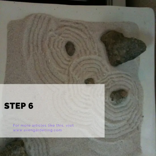step 6